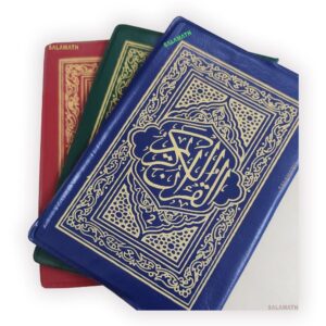 10 Juzu Set Quran |23/3 C C | 13 Lines | Medium