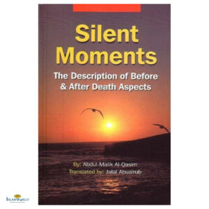 Silent Moments: The Description of Before and After Death Aspects